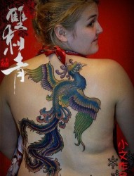 女性后背潮流经典的传统凤凰纹身图片