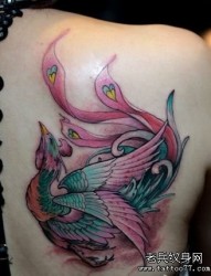 女人肩背精美潮流的彩色凤凰纹身图片