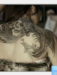 女人后肩背时尚经典的黑白凤凰纹身图片