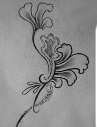 纹身学校：图腾花纹身图片作品（tattoo)