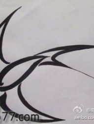 一幅图腾小鸟鸽子纹身图片