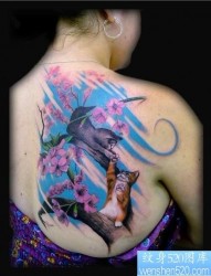 背部纹身图片：背部彩色猫咪樱花纹身图片纹身作品