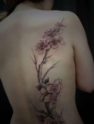 美女背部潮流流行的桃花纹身图片