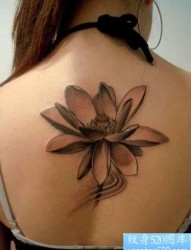 女人背部精美的黑灰莲花纹身图片