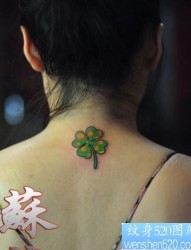 女人背部一幅彩色四叶草纹身图片