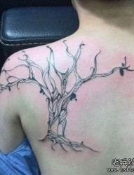 一幅背部精美潮流的图腾树纹身图片