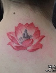 美女背部一幅红色莲花纹身图片