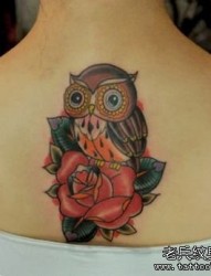 女孩子背部欧美风格猫头鹰与玫瑰花纹身图片