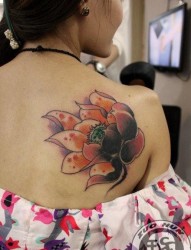 女孩子背部唯美好看的彩色莲花纹身图片
