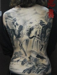 精美的美女满背仙鹤纹身图片