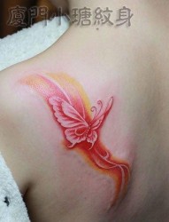 女人背部漂亮精美的彩色蝴蝶纹身图片