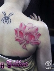 美女背部潮流精美的彩色莲花纹身图片