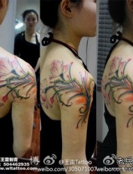 美女手臂到肩背漂亮的彩色花卉纹身图片
