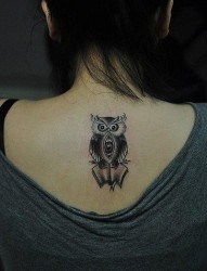 女人背部很萌的猫头鹰纹身图片