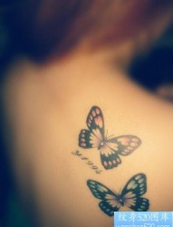 美女背部唯美潮流的蝴蝶纹身图片