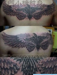 男生背部潮流经典的翅膀纹身图片