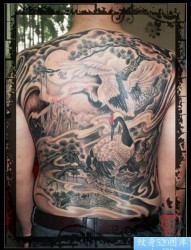 经典另行的男生满背仙鹤白鹤纹身图片