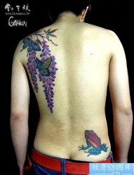 男人背部潮流经典的蝴蝶纹身图片