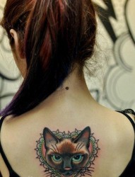 女人背部经典潮流的猫咪纹身图片
