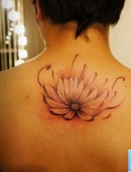 背部流行精美的水墨莲花纹身图片