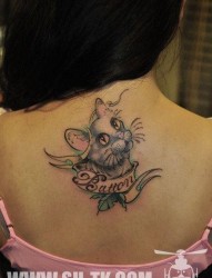 女人后背时尚经典的猫咪纹身图片
