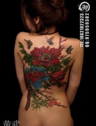 女人后背时尚精美的牡丹花纹身图片