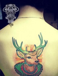 女人后背时尚可爱的梅花鹿纹身图片