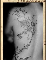 美女后背唯美潮流的桃花啼鸟图纹身图片