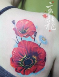 美女肩背唯美漂亮的彩色花卉纹身图片