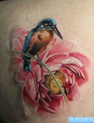 后背唯美漂亮的蜂鸟与花卉纹身图片