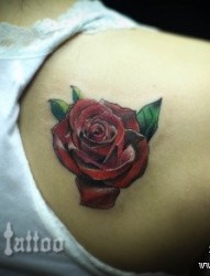 女人后背好看唯美的玫瑰花纹身图片
