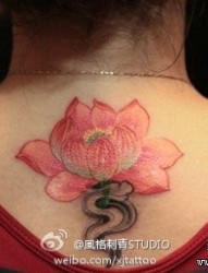 女人后背唯美好看的粉色莲花纹身图片