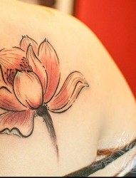 纹身520图库推荐一幅女人背部莲花纹身图片