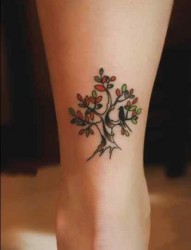 女性脚部彩色小树漂亮刺