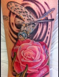 腿部纹身图片：腿部玫瑰蜻蜓纹身图片作品