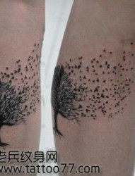 腿部潮流经典的图腾树纹身图片