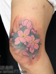 美女腿部好看的樱花纹身图片