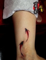美女腿部潮流好看的水墨画小锦鲤纹身图片