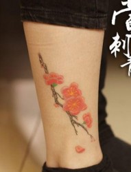 女孩子喜欢的腿部才梅花纹身图片