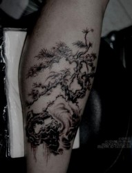 一幅腿部松树纹身图片