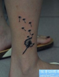 美女腿部一幅流行的蒲公英纹身图片