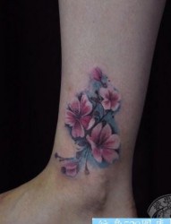 美女腿部精美的彩色樱花纹身图片