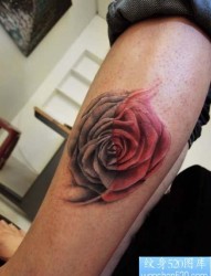 腿部漂亮的玫瑰花纹身图片