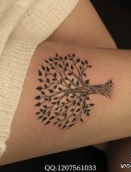 女人腿部潮流唯美的小树纹身图片