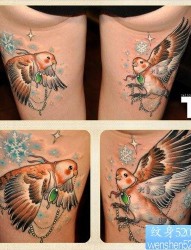女人腿部精美的鸽子纹身图片