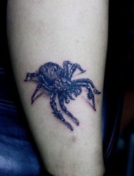 男生腿部帅气经典的蜘蛛纹身图片