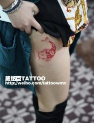 女人腿部好看的图腾鱼纹身图片