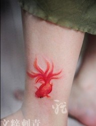 女人腿部彩色小金鱼纹身图片
