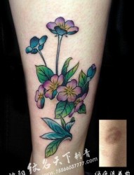 女人腿部时尚漂亮的花卉纹身图片
