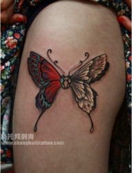 女人腿部唯美时尚的蝴蝶纹身图片
